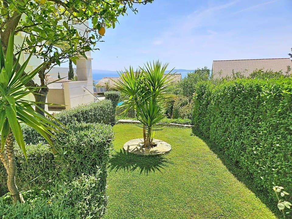 Green, Shrub, Garden, Hedge, Groundcover, Lawn, Landscaping, Shade, Yard, Backyard