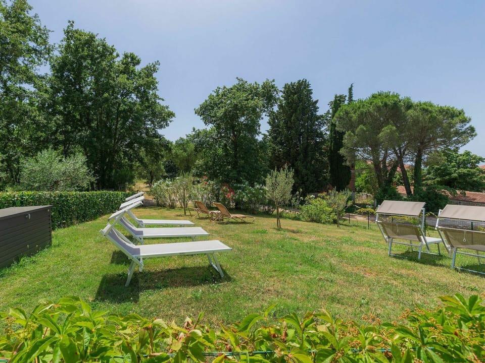 Plant, Plant Community, Sky, Tree, Outdoor Bench, Natural Landscape, Shade, Land Lot, Outdoor Furniture, Grass