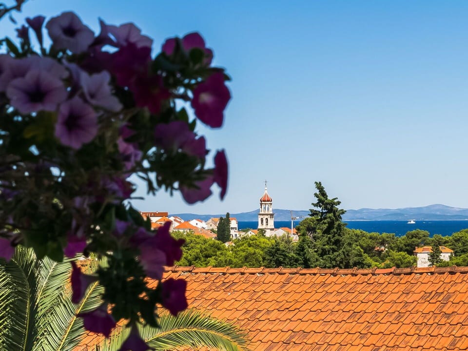 Blue, Nature, Sky, Flower, Plant, Tree, Spring, Summer, Cloud, House