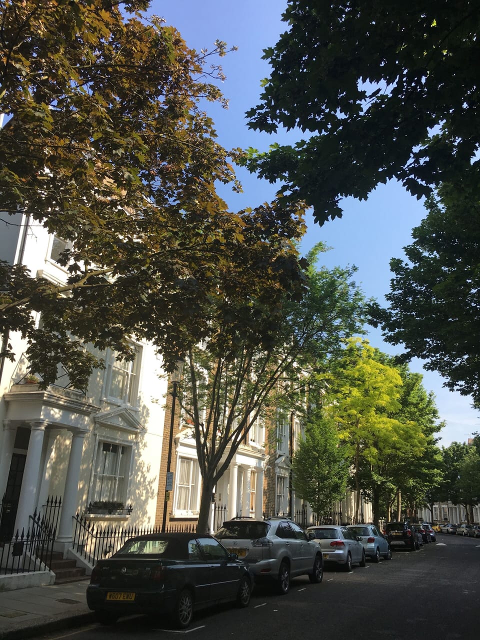Quiet tree lined street