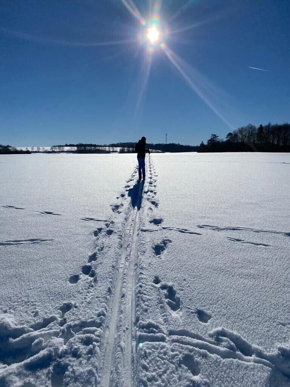 Snow and ski sports