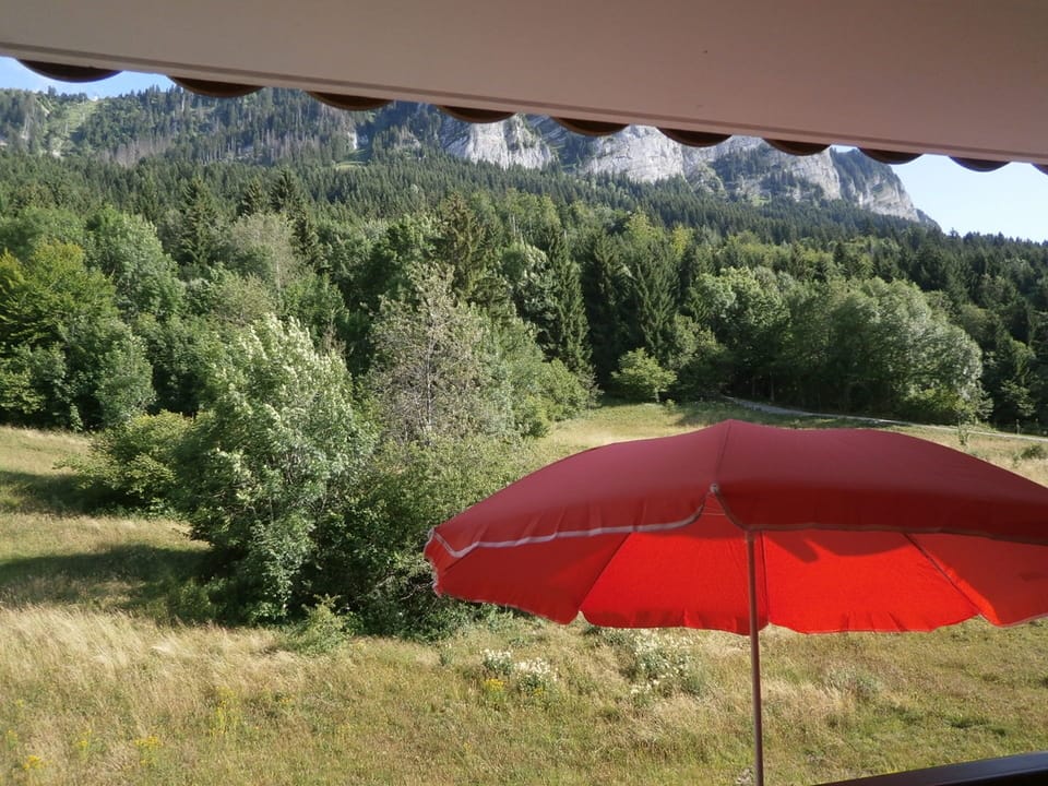 View from property
