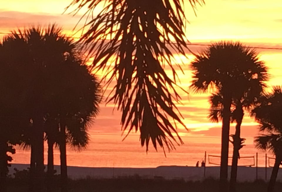 Unbelievable sunsets from your window seat
...
