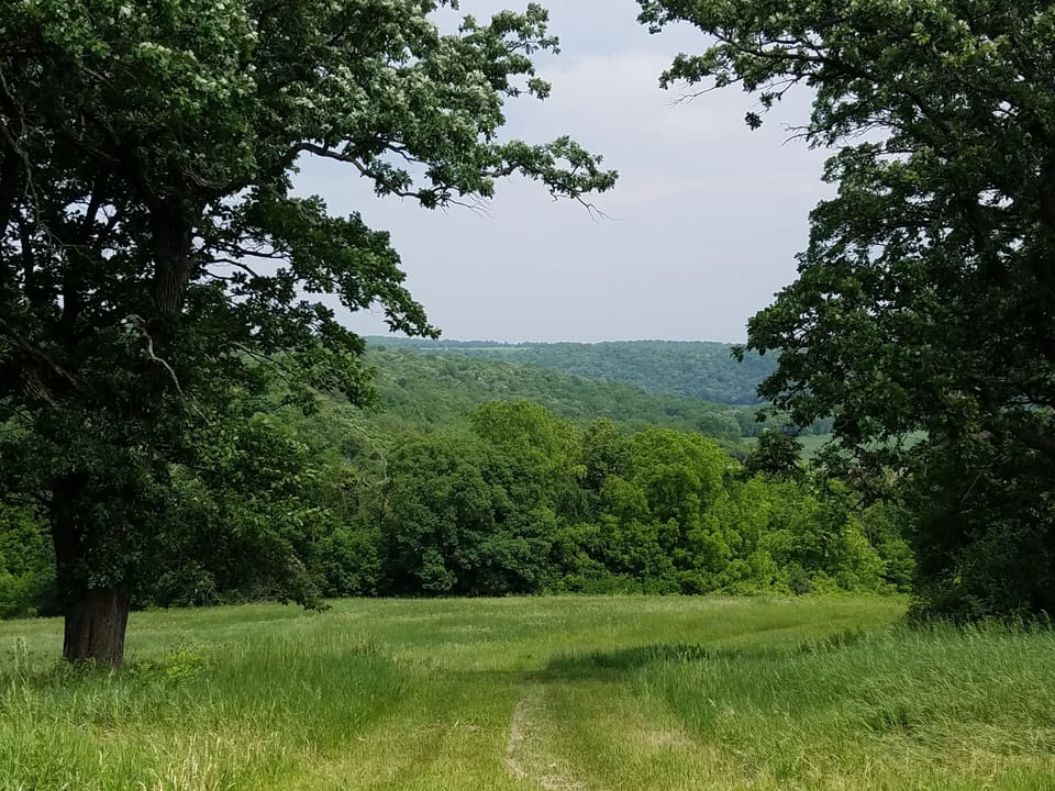 Scenic views and well maintained trails