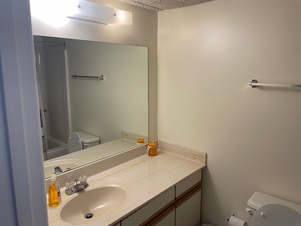 Master Bath pic 1 