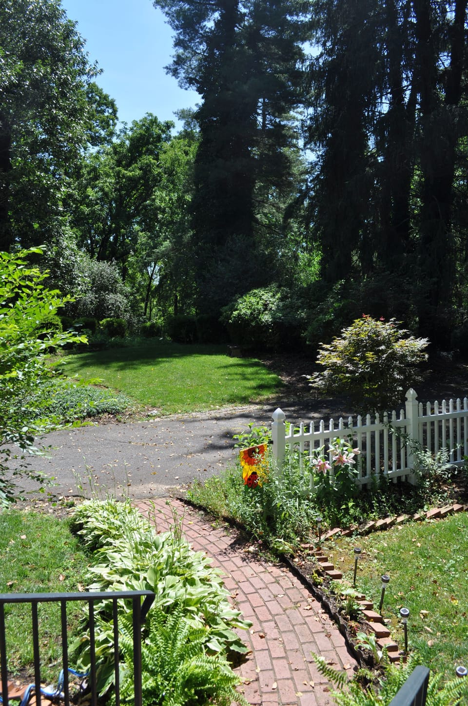 view from porch