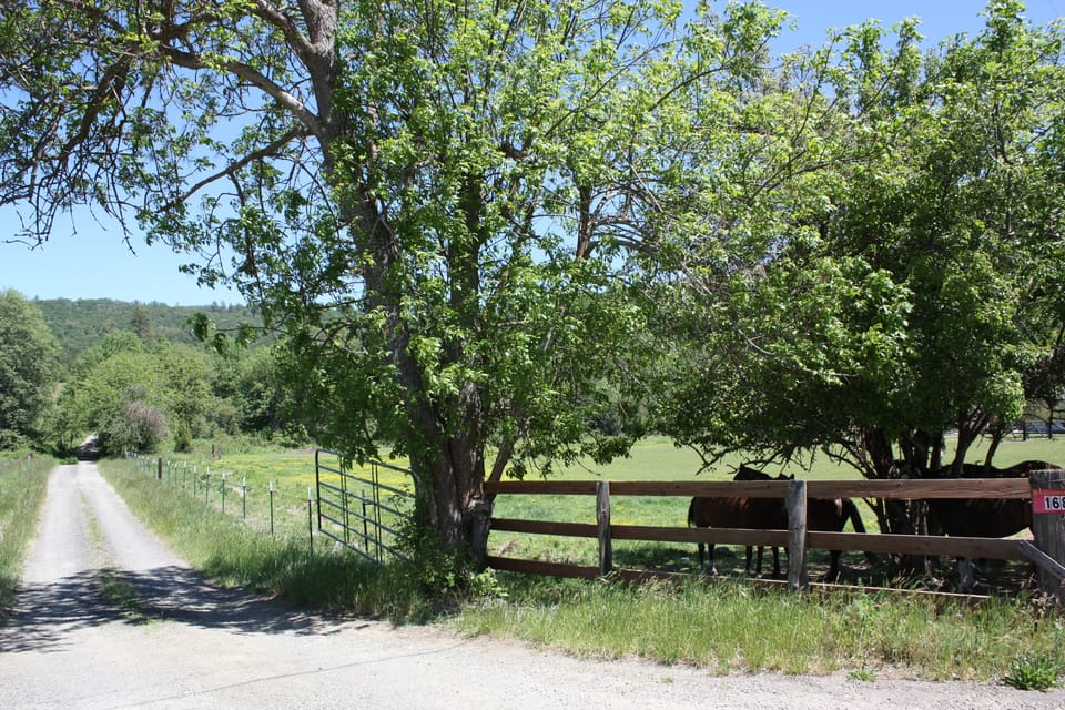 Entry of driveway off highway