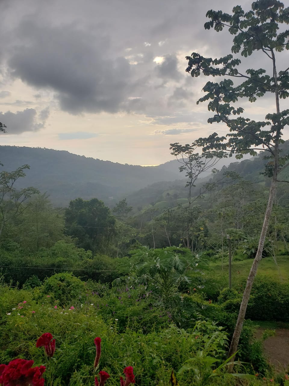 View from property