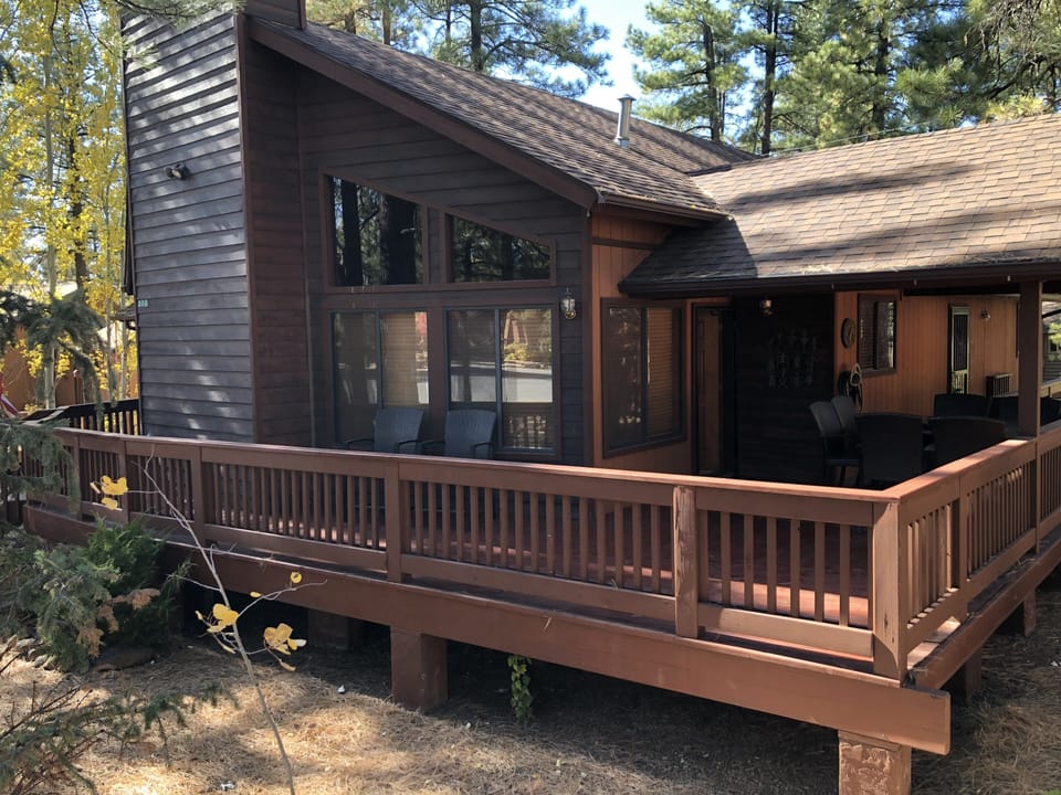 Views of the pines from every angle