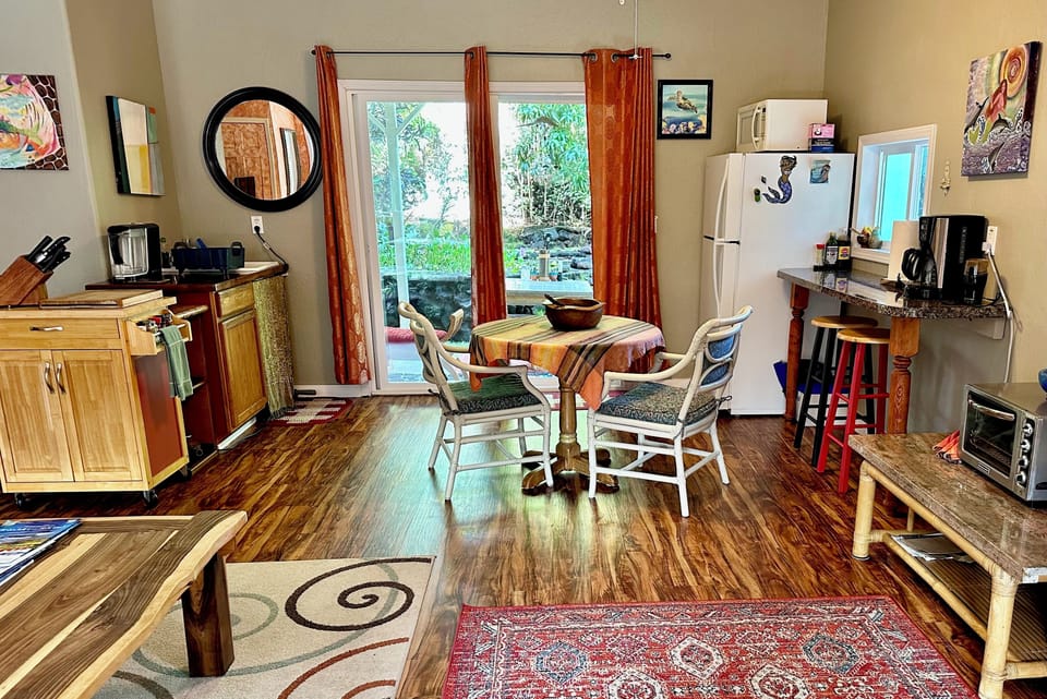 Kitchenette, full fridge, microwave, toaster oven, induction stove top & BBQ out