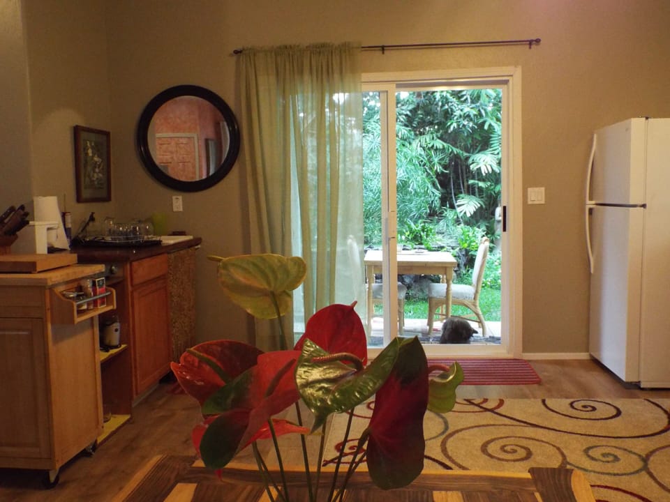 Kitchenette area has induction stove top, microwave, blender, coffee maker, plus