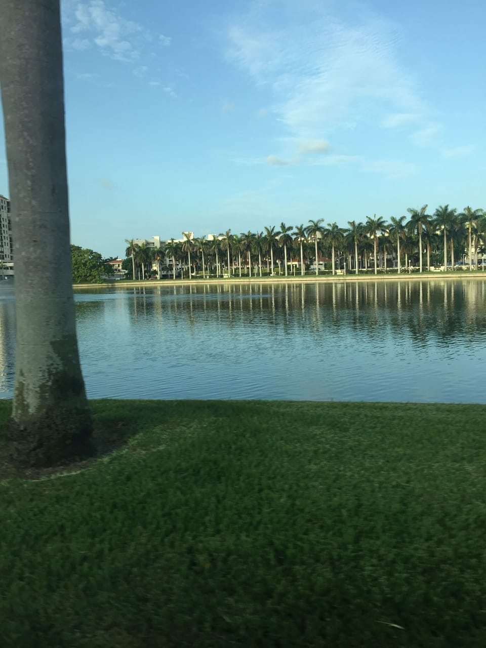 Grounds are gorgeous! 