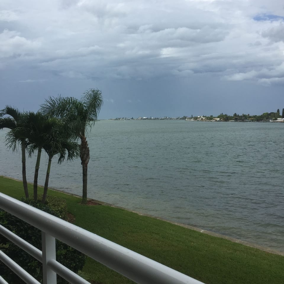 Storms Coming! 