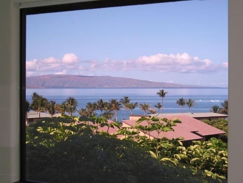View from dining table