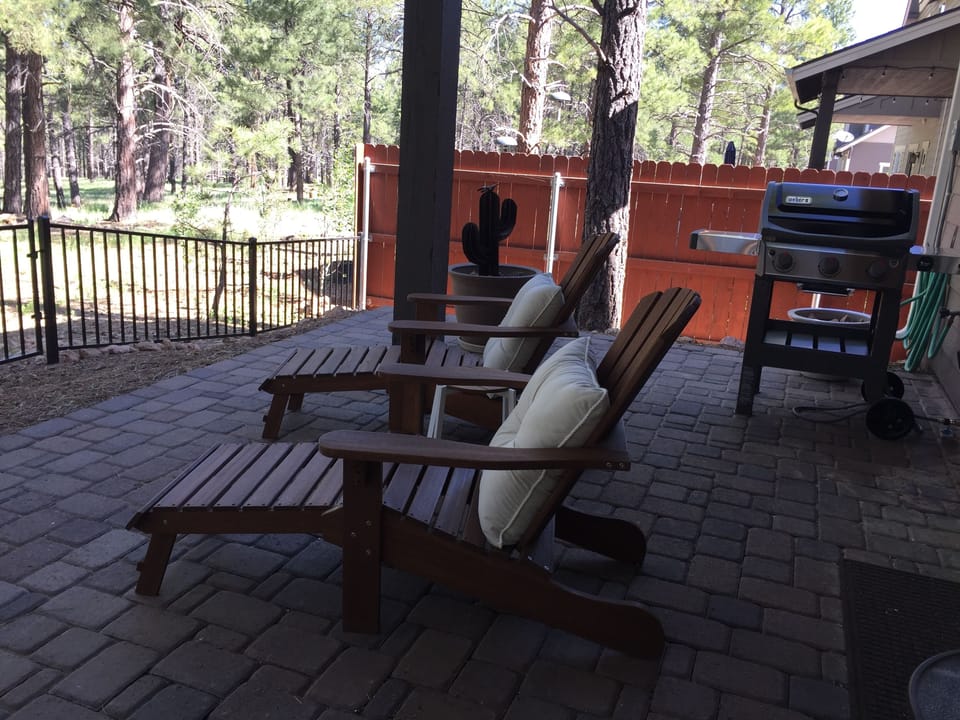 2 comfy Adirondack chairs, great for book reading or bird watching.