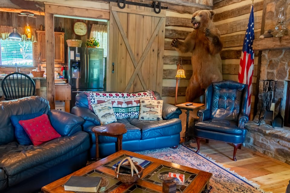 Don't feed the bear!!