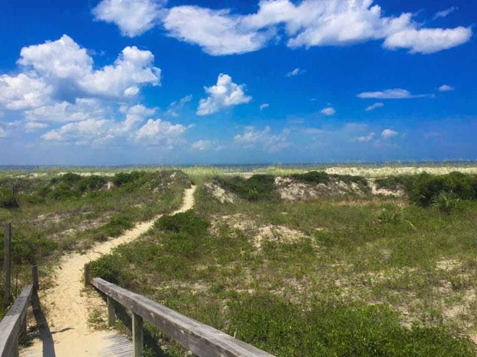 Walk to Beach though sand dunes and sea oats