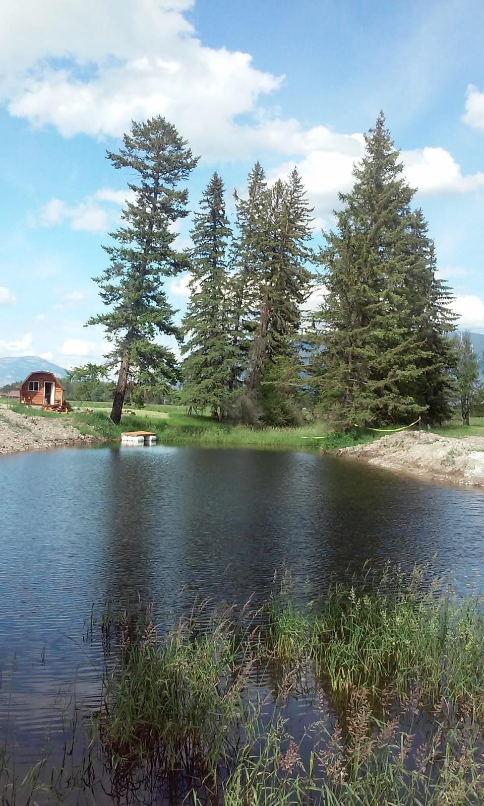 Fish pond with neighboring cabin at the other end.