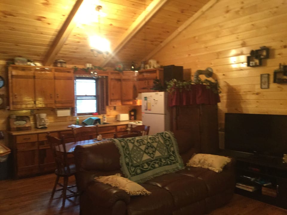 Open living room and kitchen