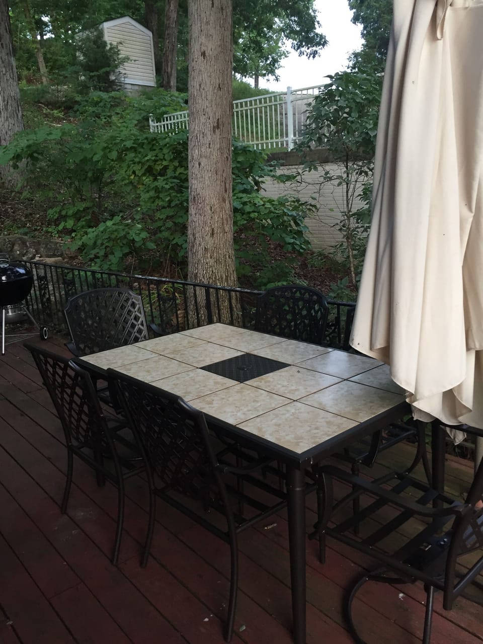 side deck w/ eating space overlooking  lake. pic shows side privacy and greenery