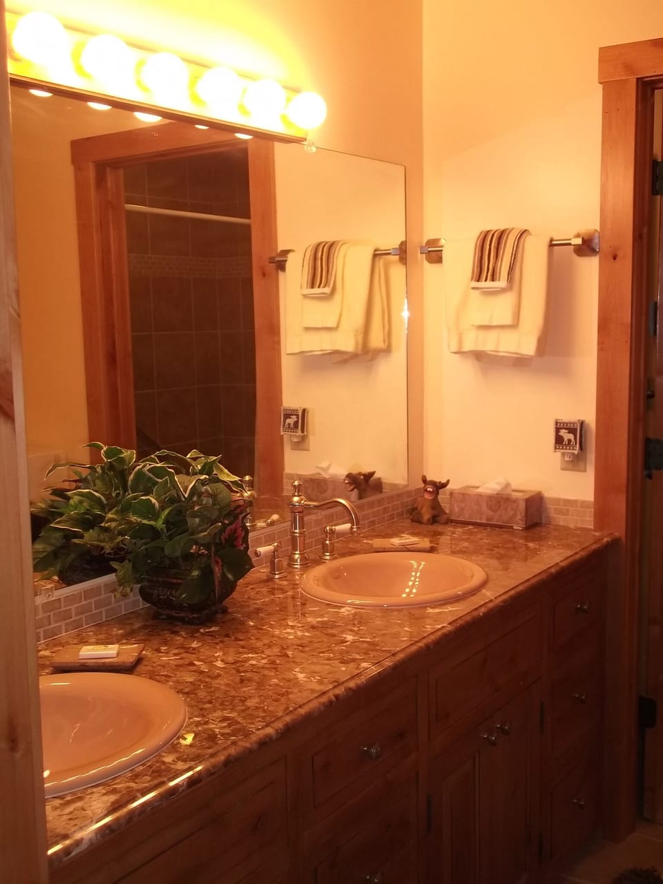 double vanity in the bath with marble countertop