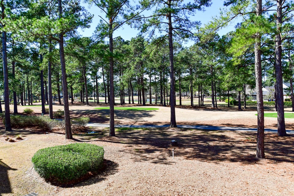 View from the deck overlooking the tee of the 1st hole on the Dogwood course.