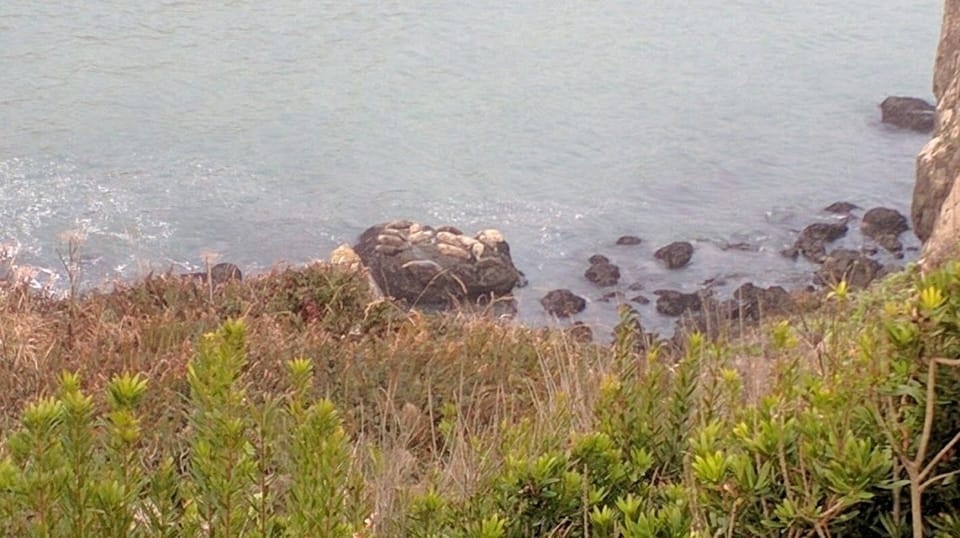 Seal Rock Motel