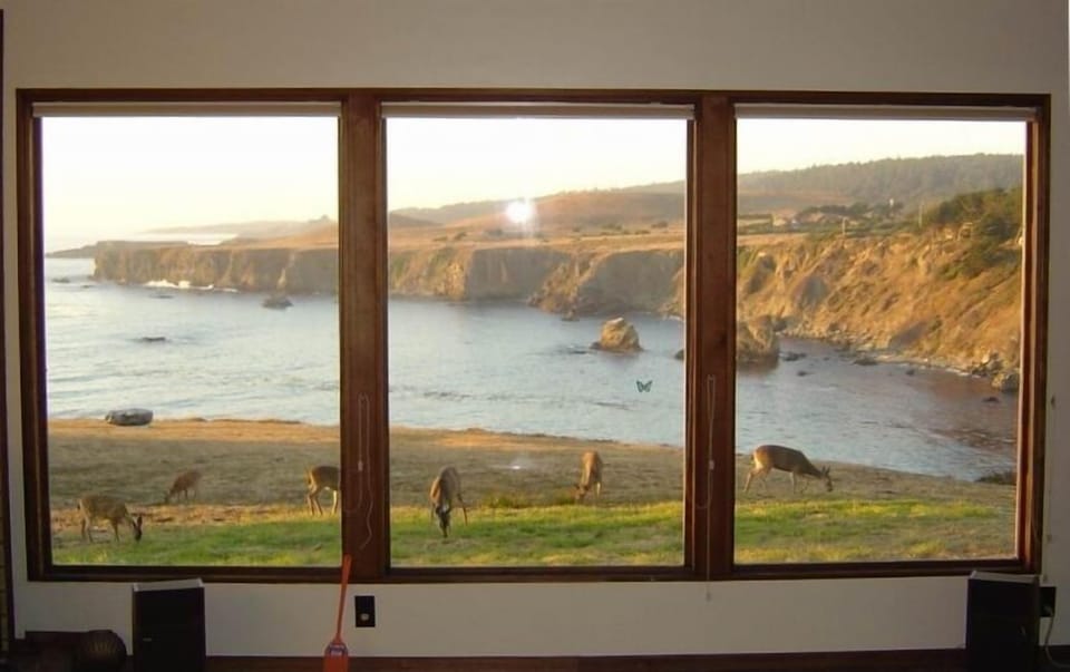 Living Room View
