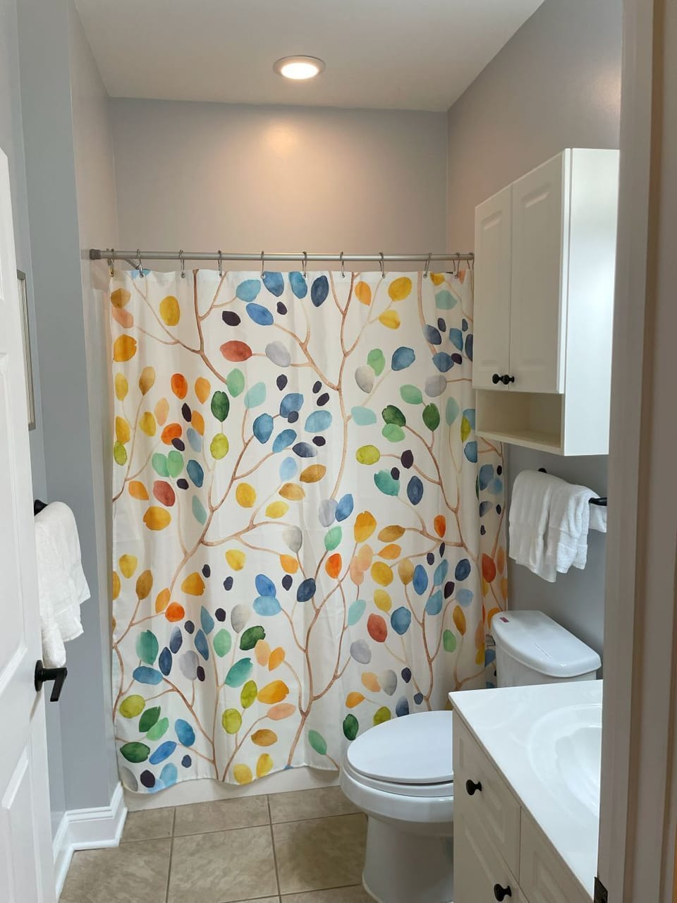 primary bath and shower