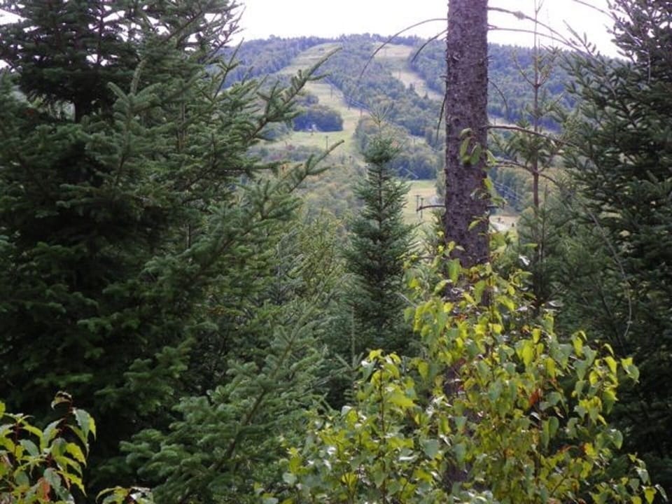 Summer View from deck, great room and loft of ski runs at Bretton Woods (62 runs