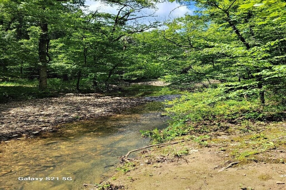 Creek