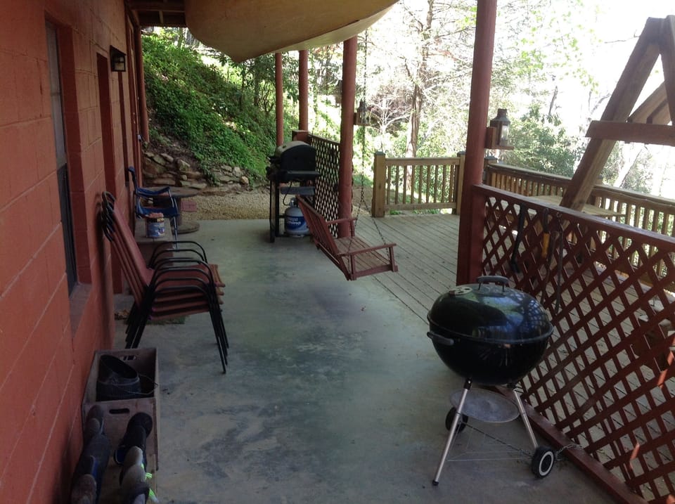 Gas and charcoal grills