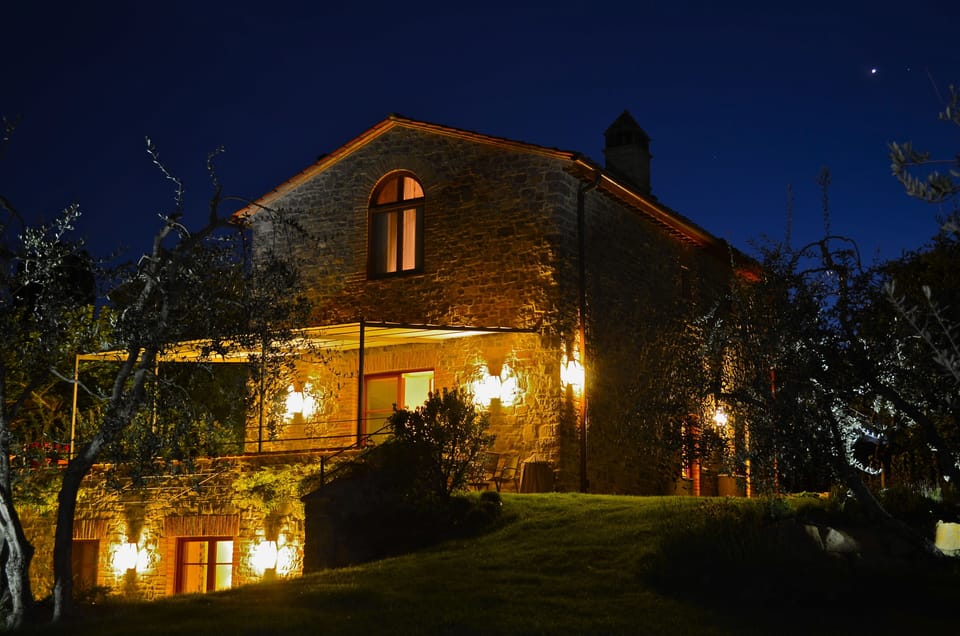 Illuminated garden and is furnished with a table,  chairs, sunshades and a grill