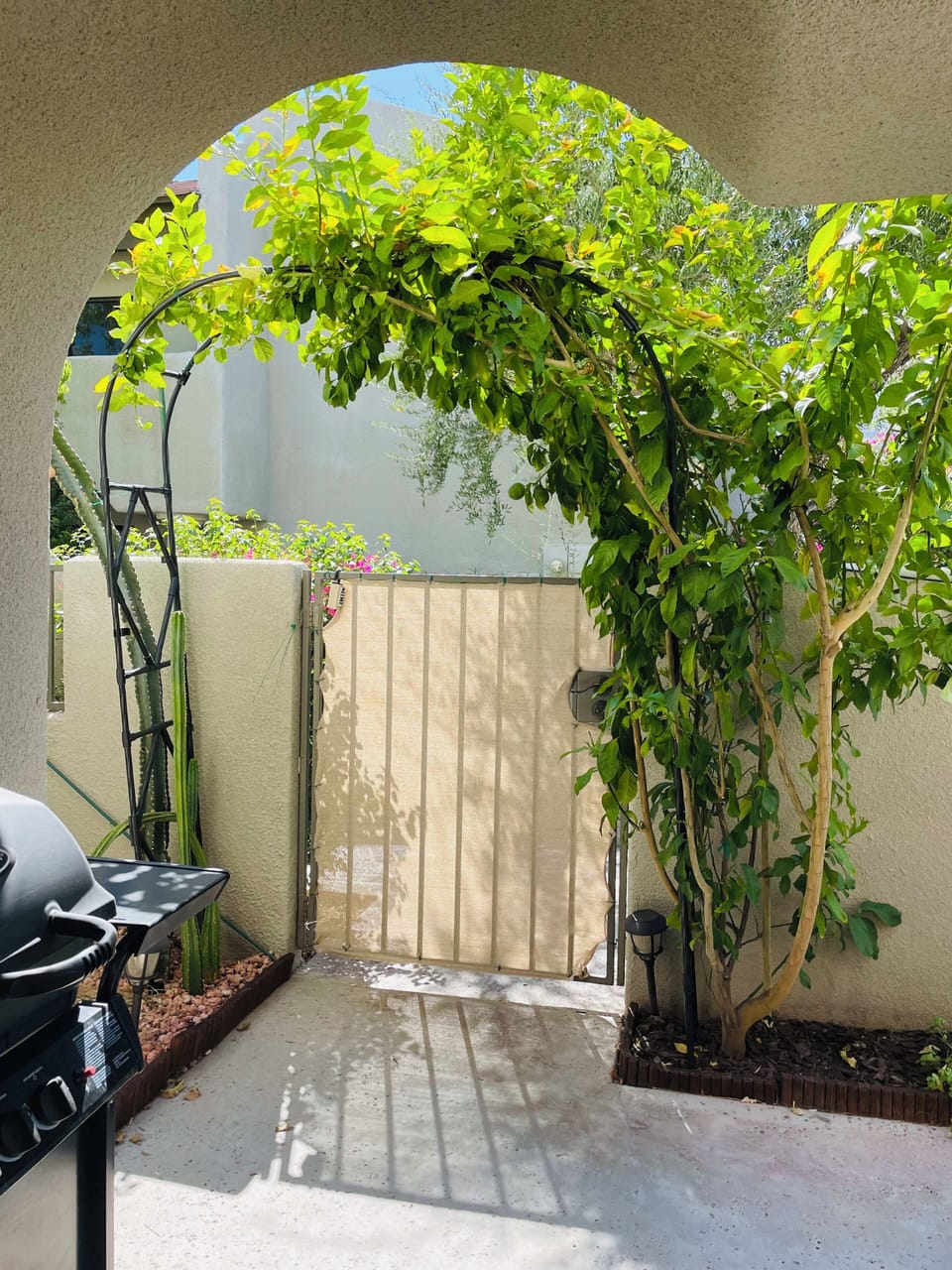 Private patio with dinning table, sofa with mountain view and grill