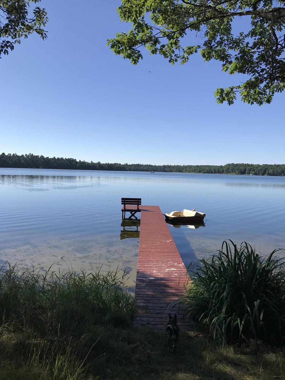Dock looking out at Lake Content