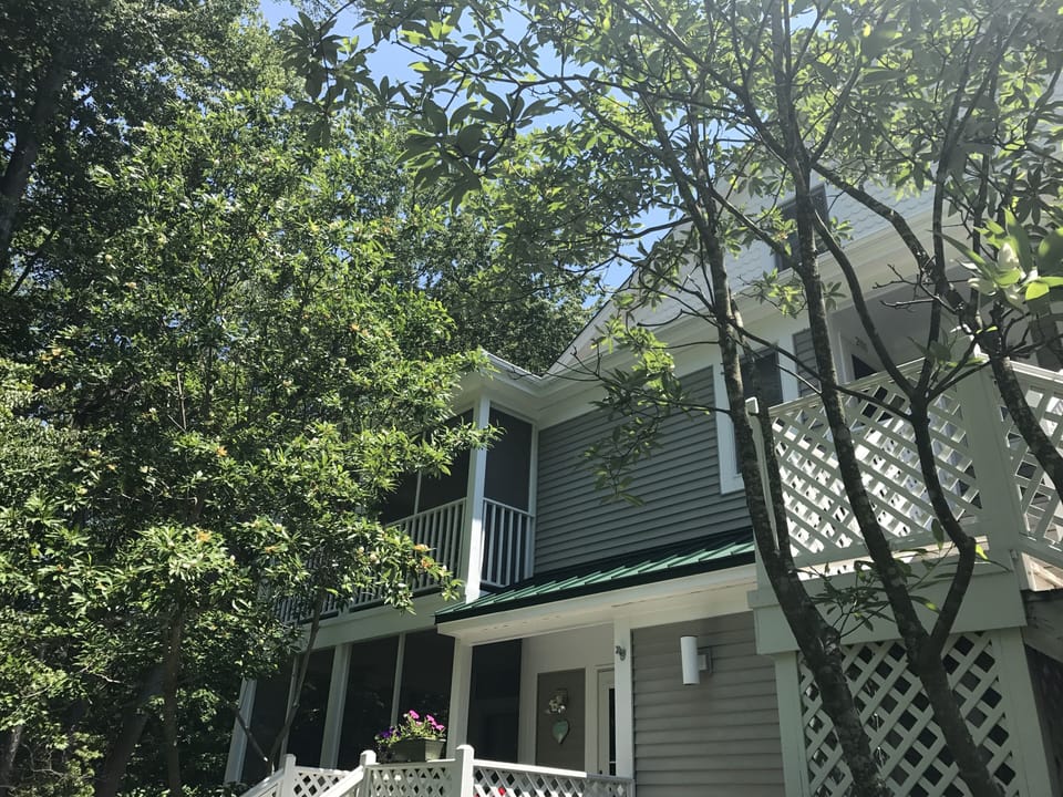 Located on the second floor in the tree's