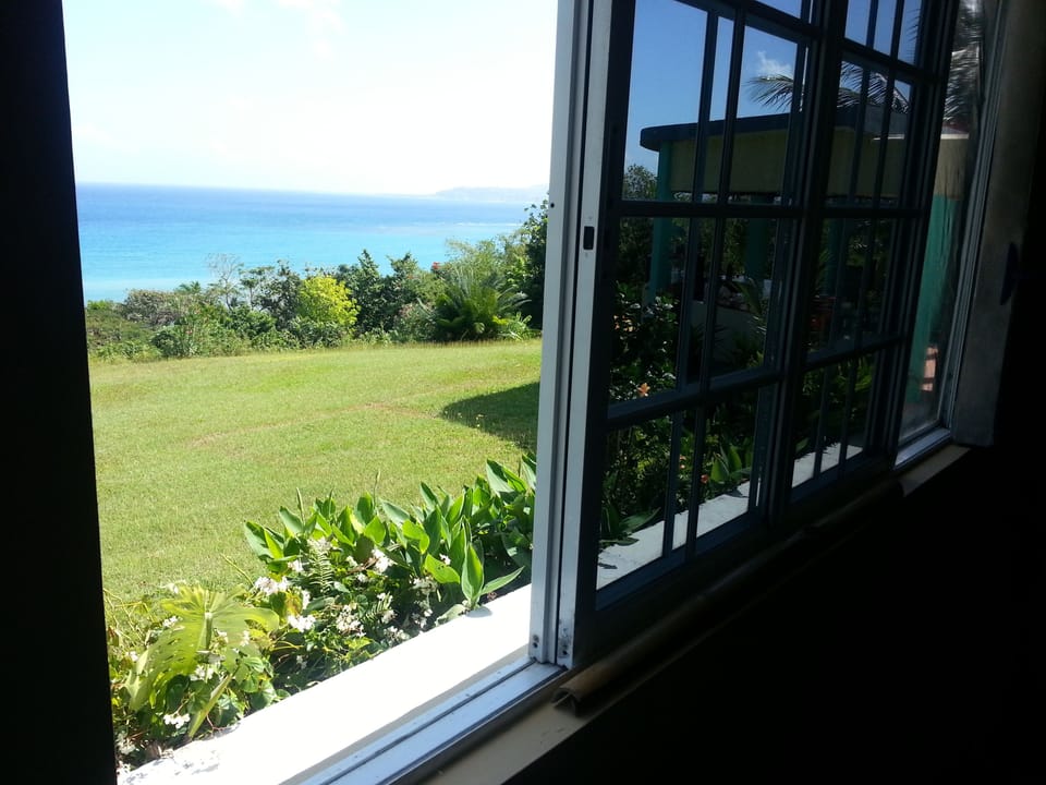 Looking out the master bedroom window