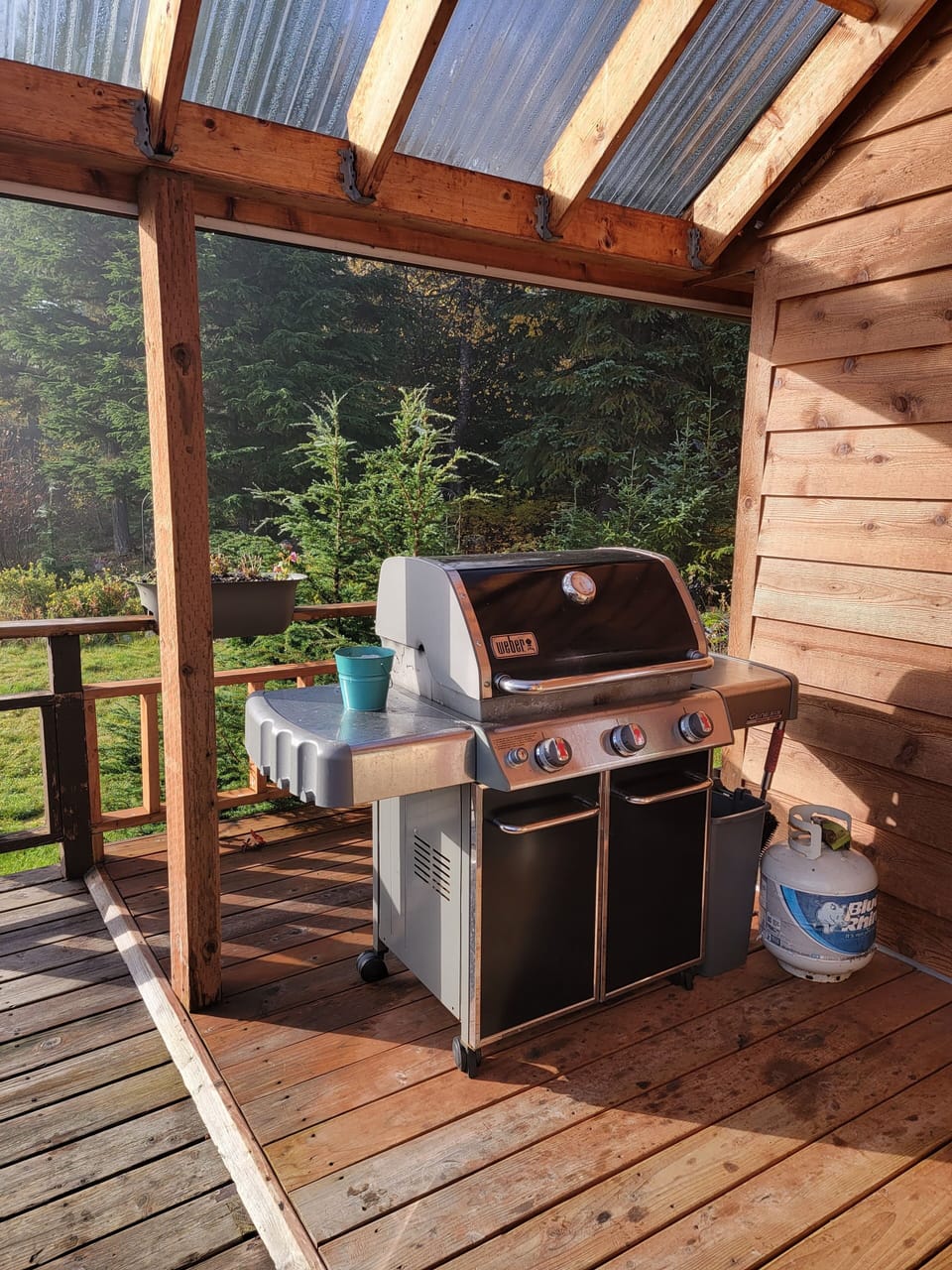 Yes, it has a gas grill.