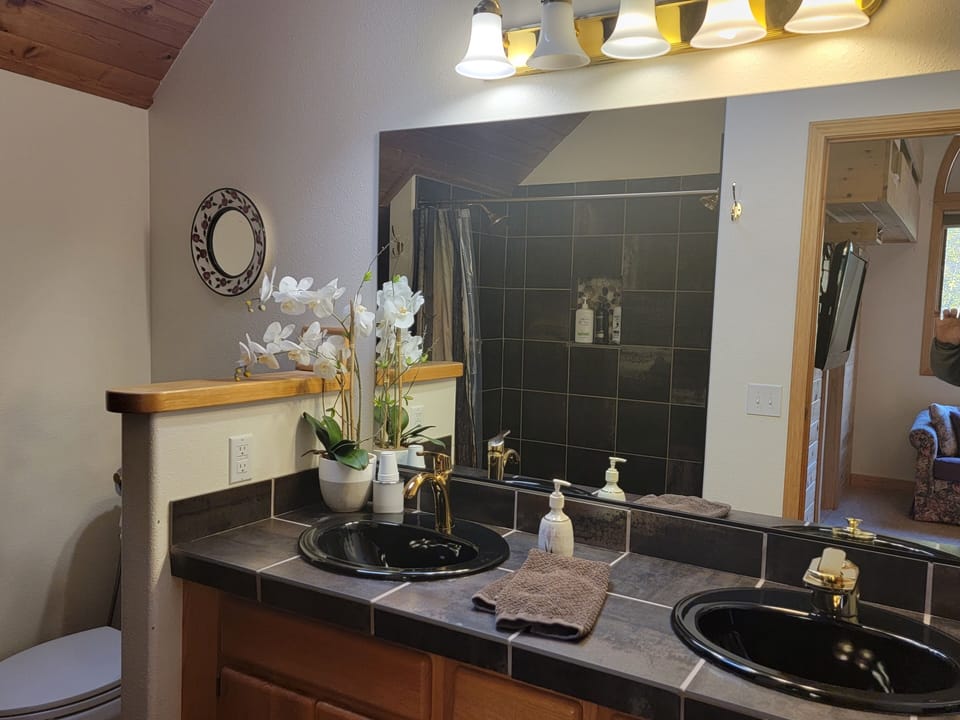 Master bath double sinks