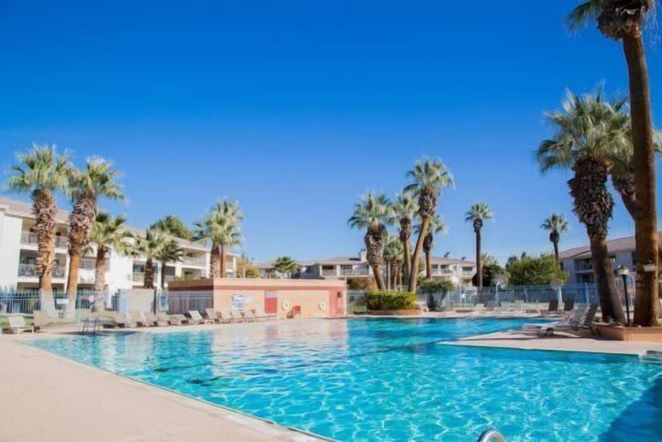 Lap Pool