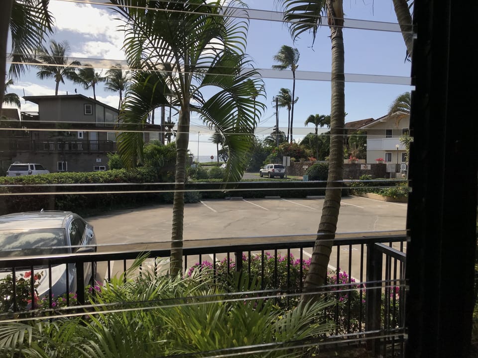 Enjoy the ocean view from the living room 