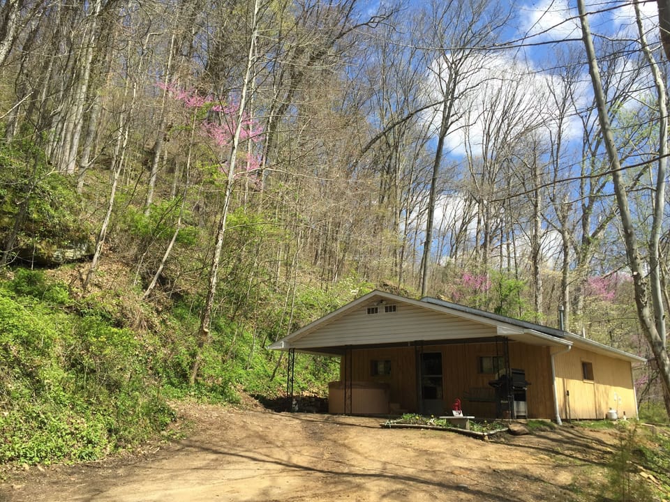 Cabin / Skyline