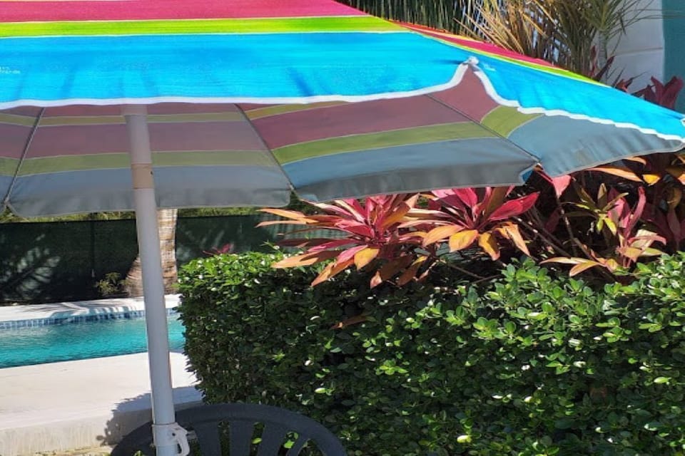 another portion of the back yard