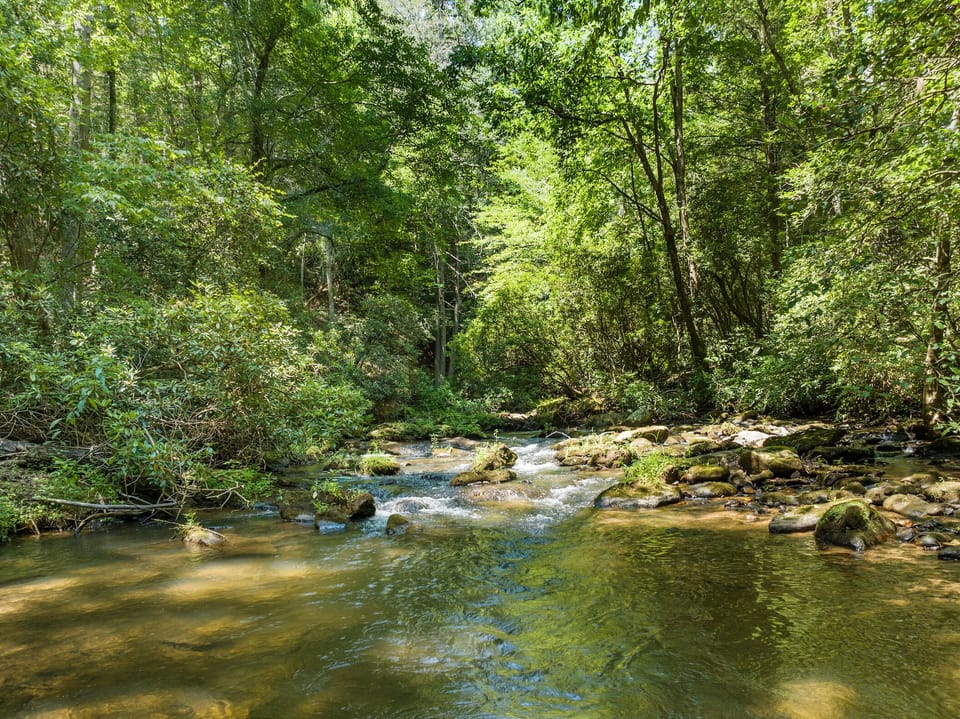 Creek on the property