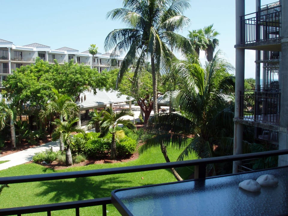 Tropical View From The Balcony  With  A Partial View Of The Ocean
