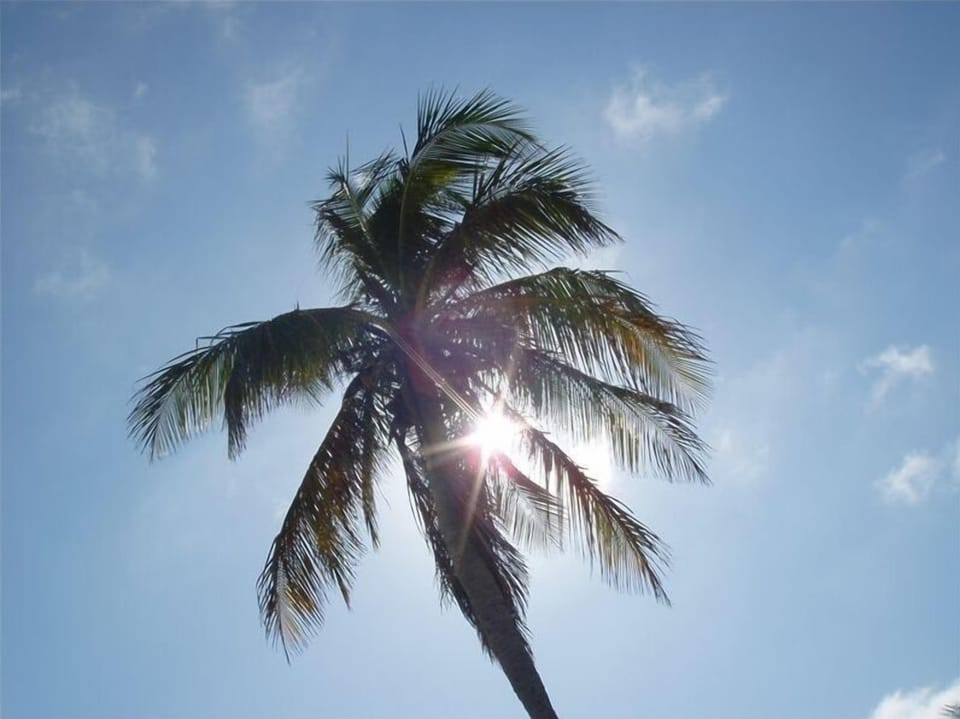 Ahhh - Paradise