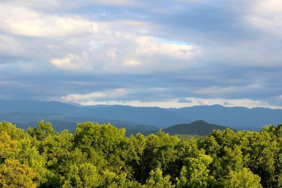 Awesome!  Check out the heavenly view from the living room and decks.