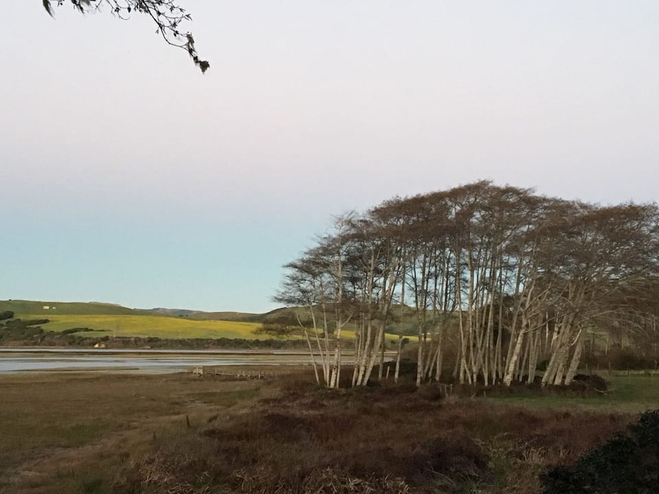 serene bay 