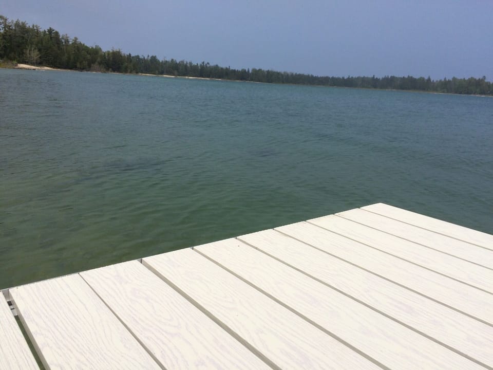 View from end of dock, looking at state owned shoreline.