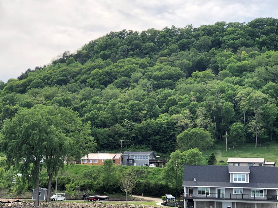 View of our place from the Mississippi River.